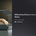 1 Effectively Reduce Hamster Noise