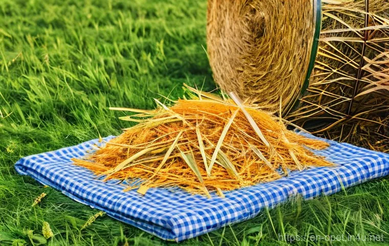 토끼 이빨 관리법 - Here are three image prompts in English, adhering to all the specified guidelines: 토끼 이빨 관리법 - Here are three image prompts in English, adhering to all the specified guidelines: