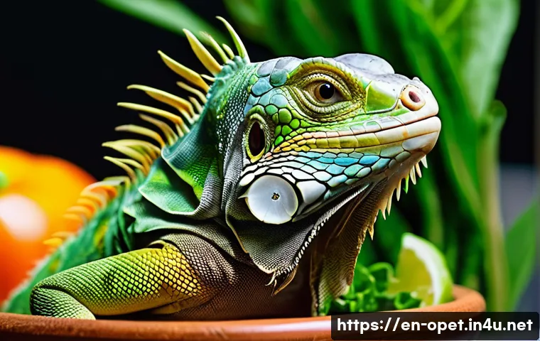 7 Pro Tips for Building the Ultimate Iguana Enclosure 3 이구아나 사육장 설치법 관련 이미지 1