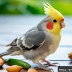 칵테일 앵무새 모이 추천 - A vibrant and detailed close-up of a healthy cockatiel perched on a natural wooden branch inside a b...